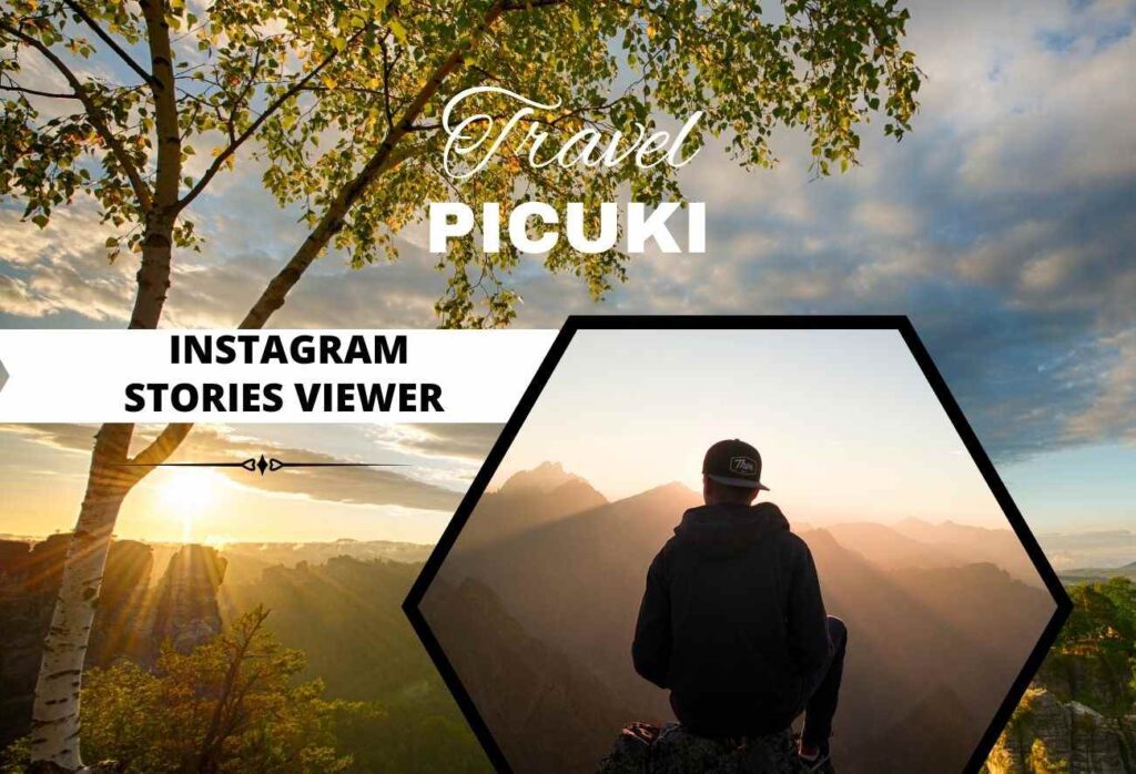 Picuki instagram stories Viewer